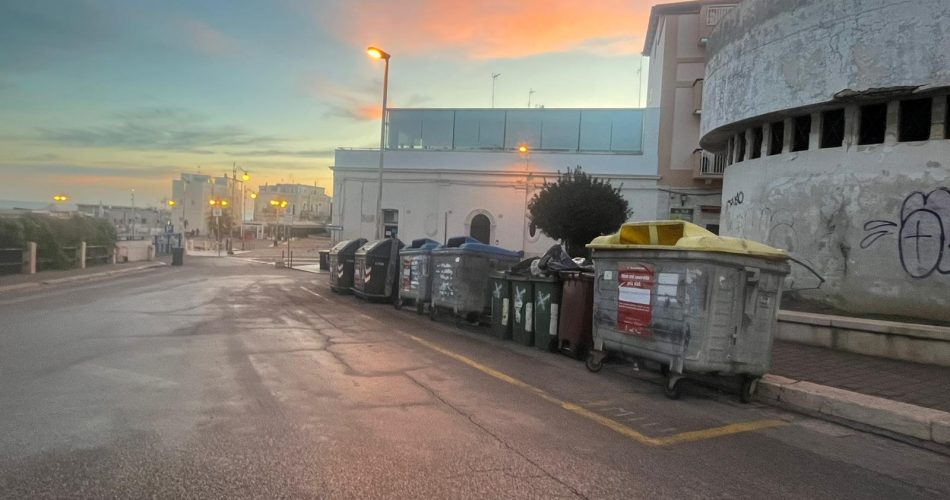 WhatsApp Image 2025-01-08 at 07.32.25