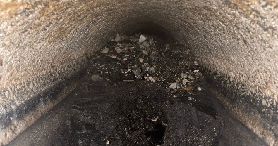 WhatsApp Image 2025-01-11 at 12.49.56