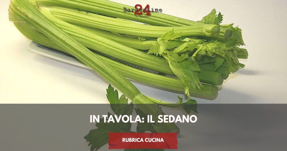 WhatsApp Image 2025-01-13 at 14.15.30 (4)