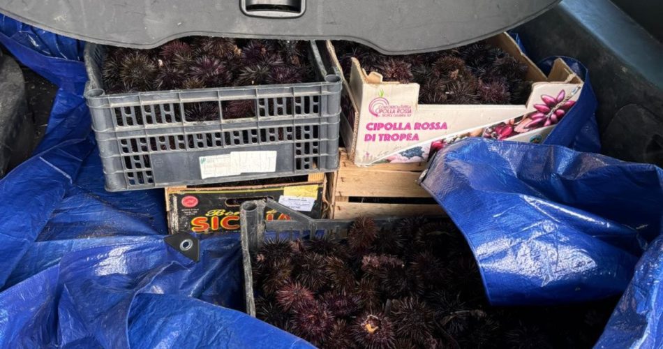 WhatsApp Image 2025-01-14 at 17.41.19