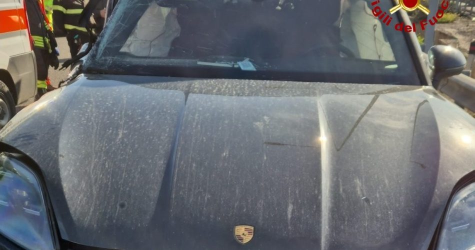 WhatsApp Image 2025-01-21 at 11.13.27