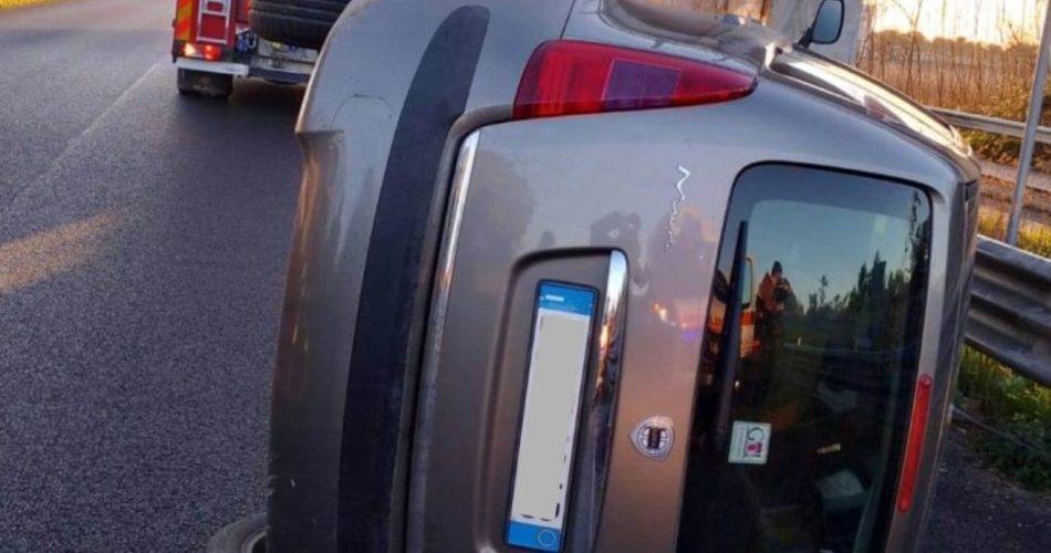 WhatsApp Image 2025-01-31 at 10.14.51