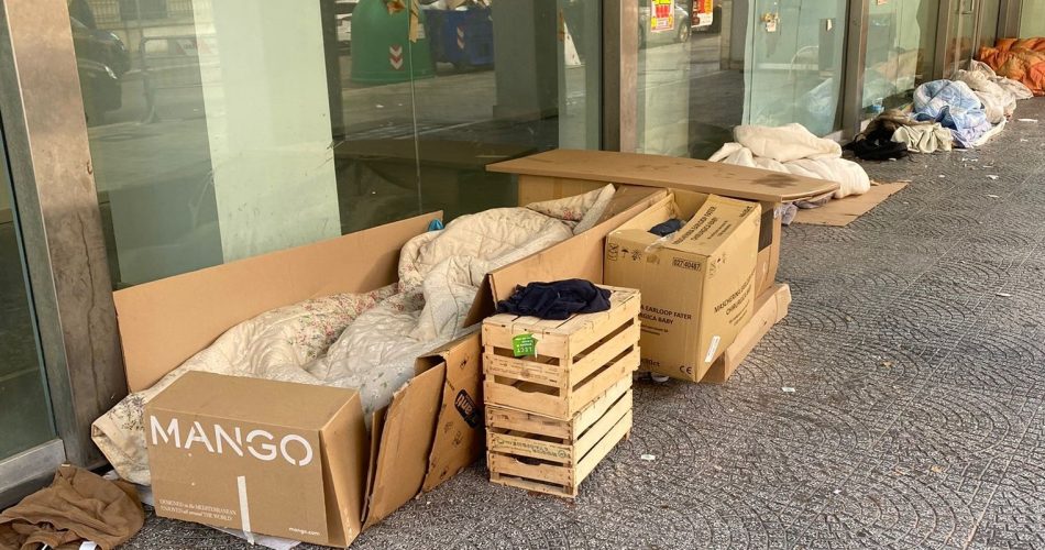 WhatsApp Image 2025-01-31 at 16.41.07 (1)