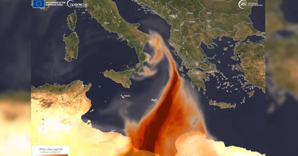 WhatsApp Image 2025-02-04 at 12.41.03