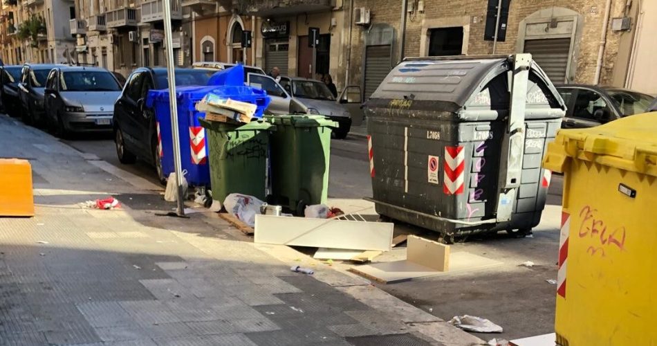 WhatsApp Image 2025-02-13 at 09.38.46