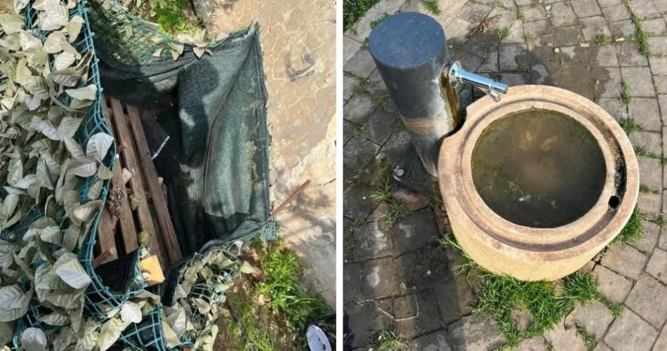 WhatsApp Image 2025-03-01 at 10.14.37