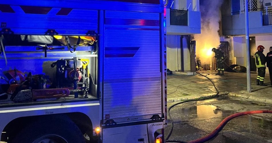 WhatsApp Image 2025-03-01 at 11.06.45