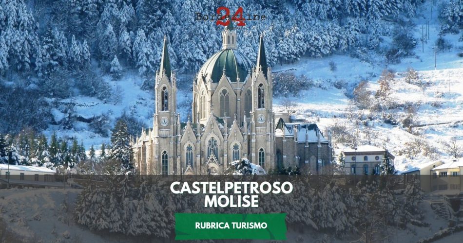 WhatsApp Image 2025-03-12 at 15.36.46