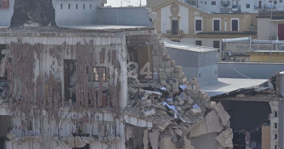 WhatsApp Image 2025-03-14 at 10.29.58