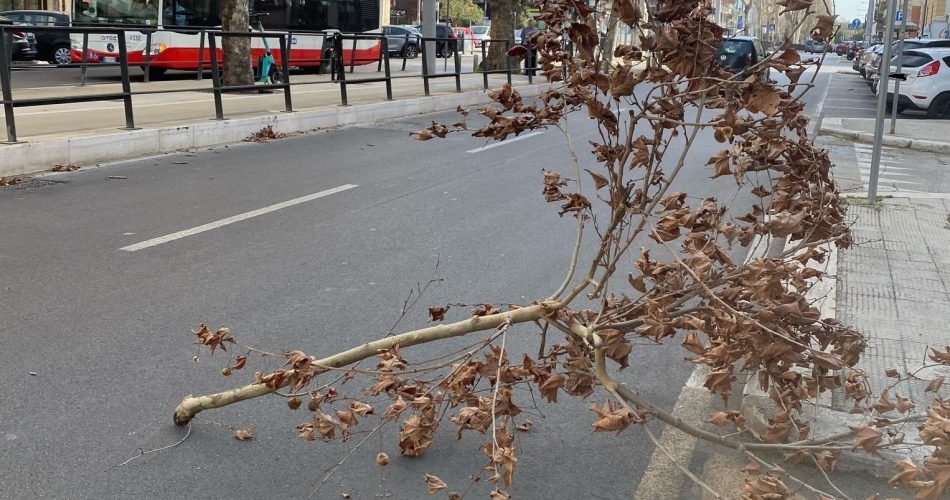 WhatsApp Image 2025-03-14 at 14.51.04