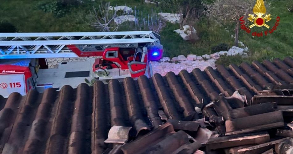 WhatsApp Image 2025-03-15 at 09.40.03