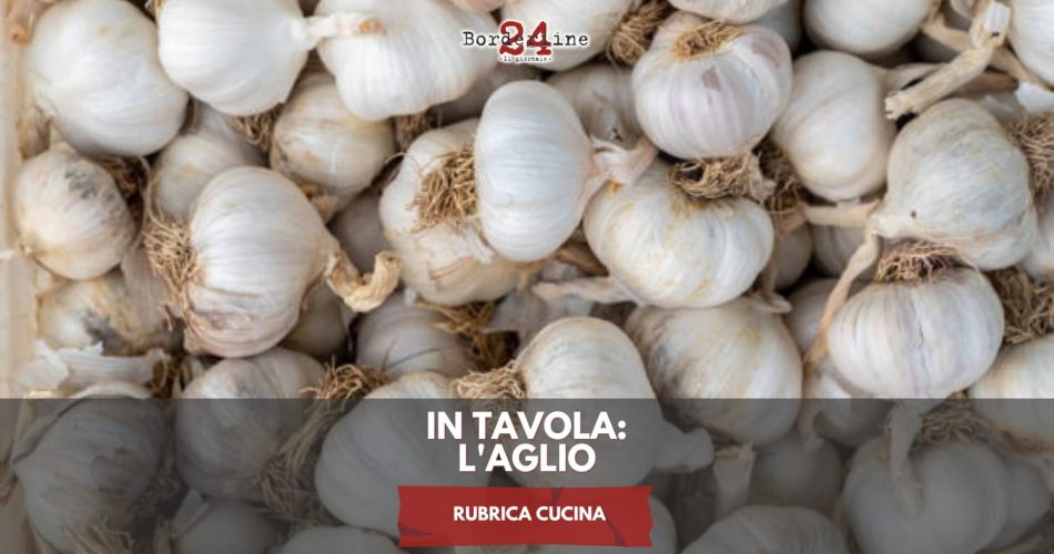 WhatsApp Image 2025-03-26 at 11.28.24 (2)