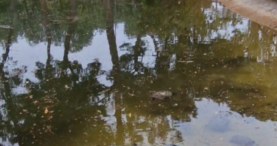 laghetto parco 2 giugno