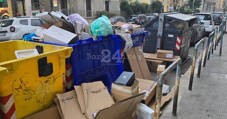 WhatsApp Image 2025-04-16 at 18.56.30