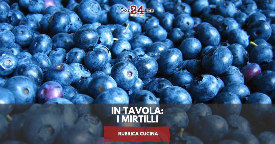 WhatsApp Image 2025-04-28 at 15.02.43