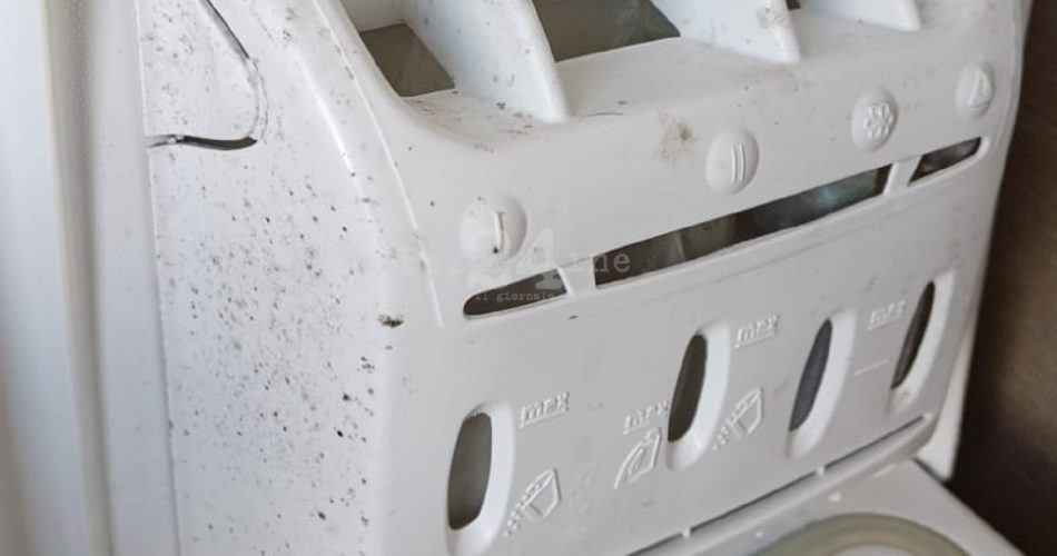 WhatsApp Image 2025-04-29 at 06.46.32