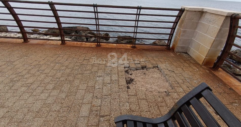 WhatsApp Image 2025-05-06 at 16.00.22