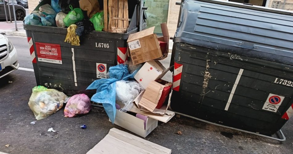 WhatsApp Image 2025-05-08 at 17.06.11