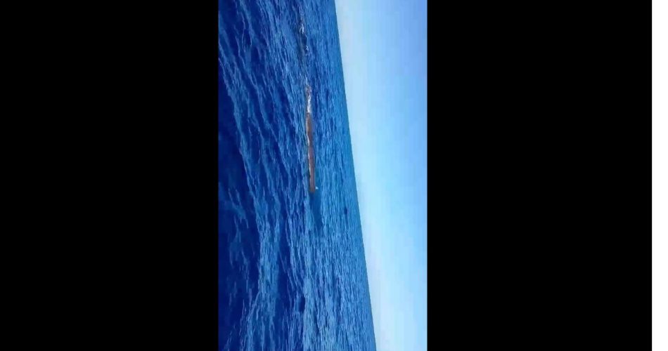 WhatsApp Image 2025-05-25 at 18.48.19