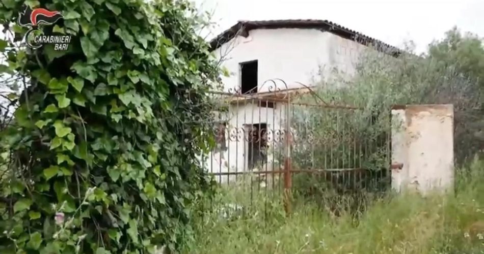 WhatsApp Image 2025-05-26 at 12.00.37