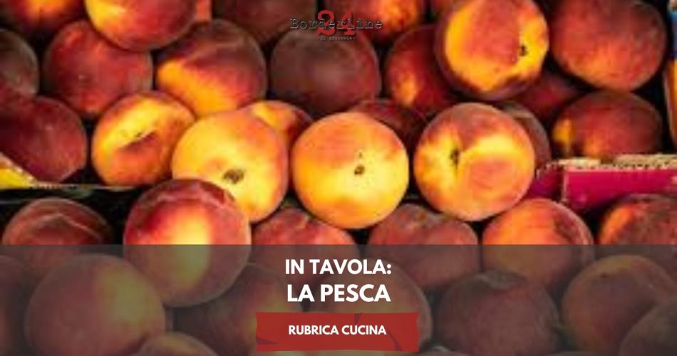 WhatsApp Image 2025-05-26 at 17.17.23 (1)