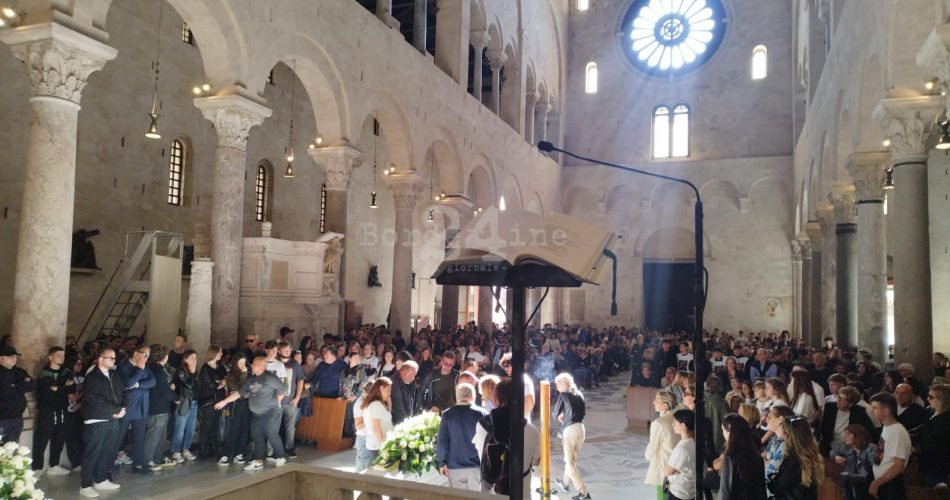 WhatsApp Image 2025-05-29 at 17.29.00 (1)