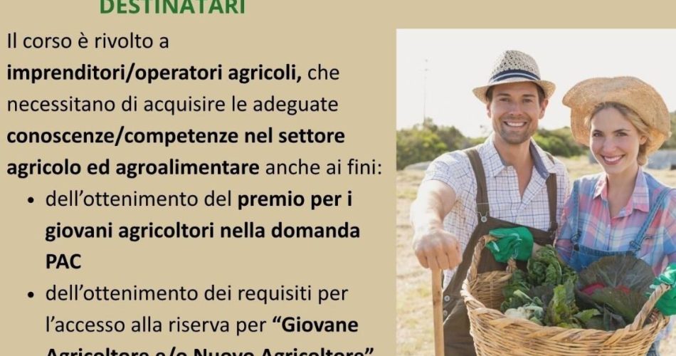 WhatsApp Image 2025-06-09 at 10.16.28