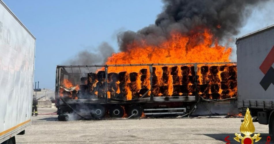 WhatsApp Image 2025-06-18 at 15.09.21 (1)