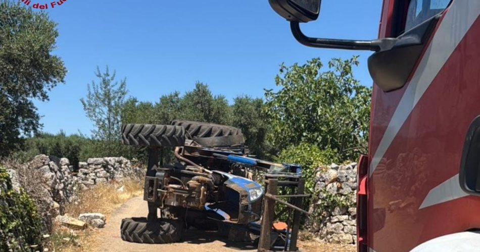 WhatsApp Image 2025-06-30 at 17.11.19