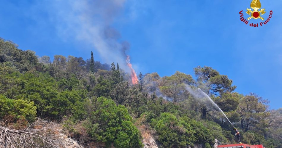 vigili fuoco incendi