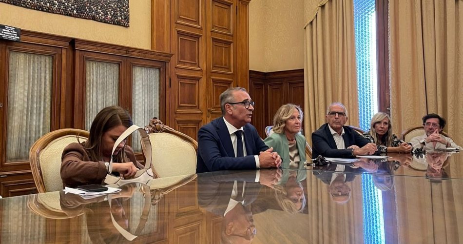 WhatsApp Image 2025-07-10 at 14.13.57