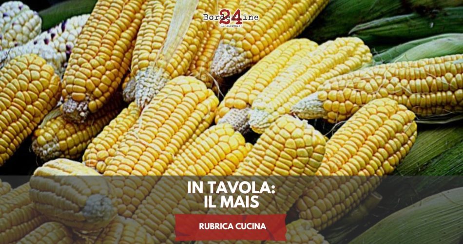 WhatsApp Image 2025-07-15 at 17.57.02 (1)