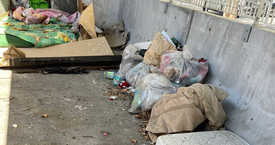 WhatsApp Image 2025-07-23 at 12.28.49