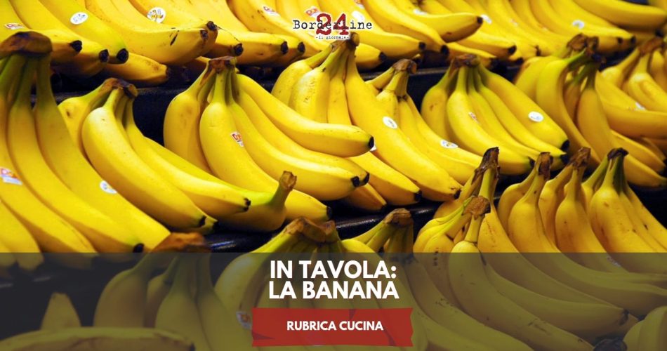 WhatsApp Image 2025-07-23 at 14.23.59 (1)