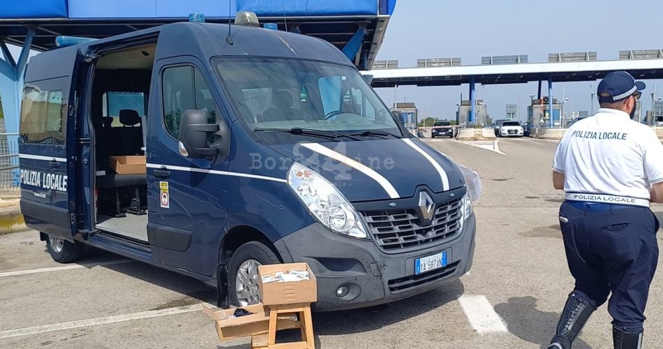 WhatsApp Image 2025-07-26 at 15.20.58