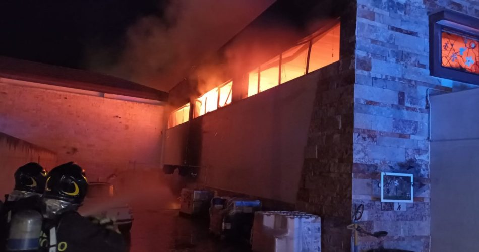 WhatsApp Image 2025-07-29 at 13.48.15