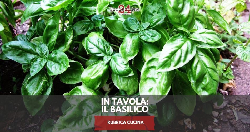 WhatsApp Image 2025-07-30 at 12.03.29