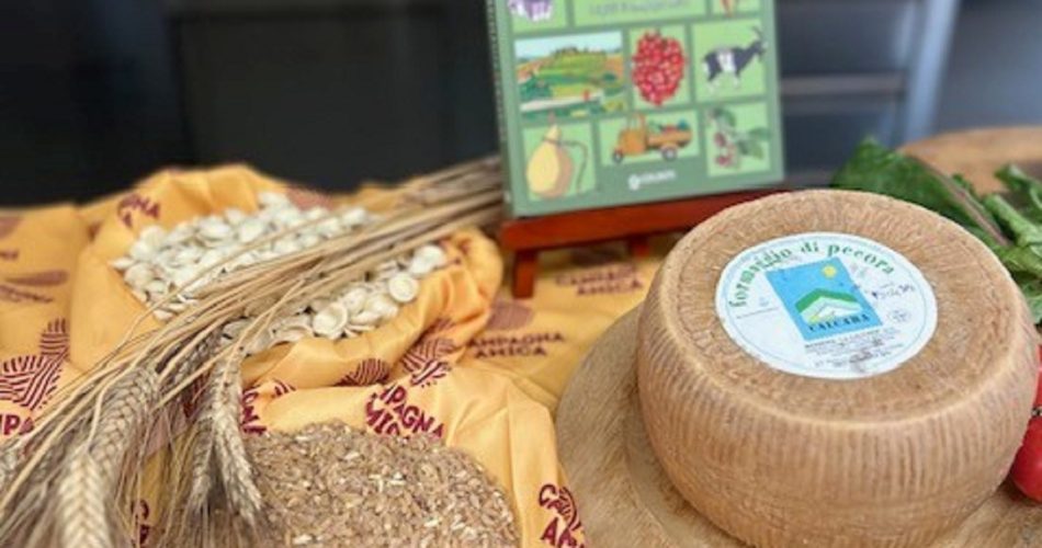 WhatsApp Image 2025-07-31 at 15.45.09