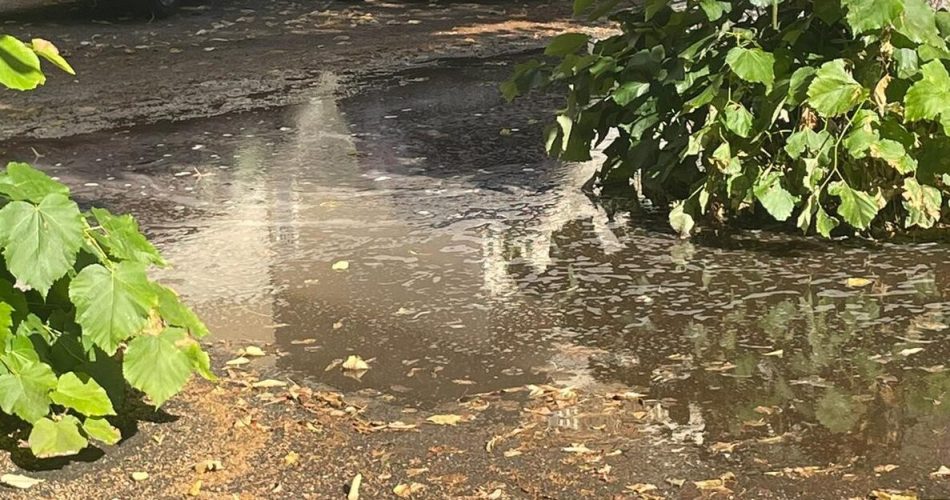 WhatsApp Image 2025-08-05 at 11.23.55