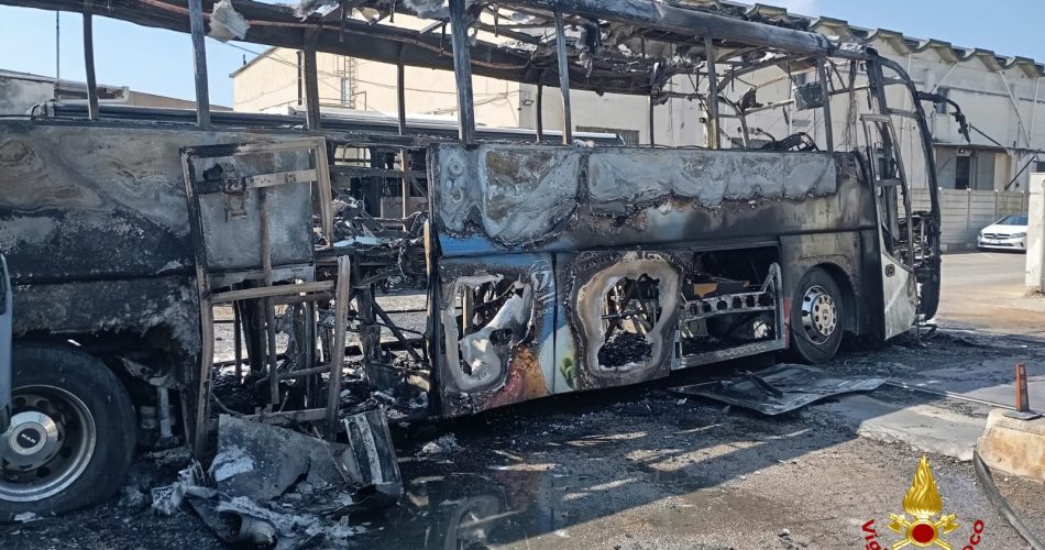 WhatsApp Image 2025-08-19 at 16.35.41