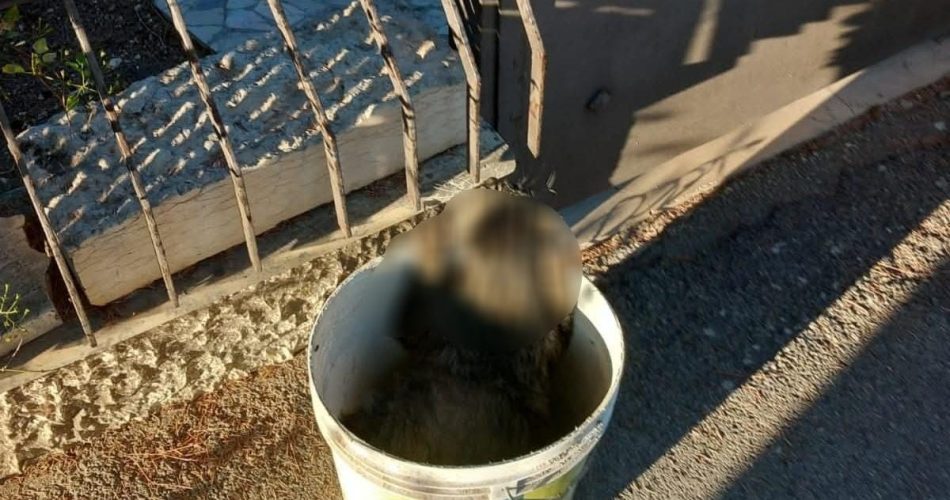 WhatsApp Image 2025-08-28 at 15.53.28