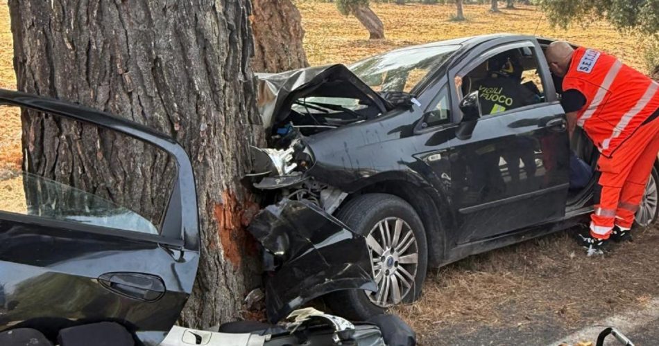 WhatsApp Image 2025-08-29 at 17.02.44