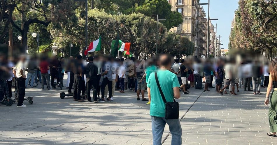 WhatsApp Image 2025-08-29 at 18.49.49