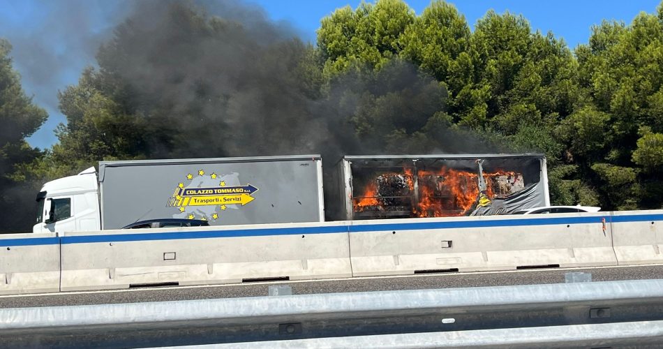 WhatsApp Image 2025-09-01 at 13.21.54