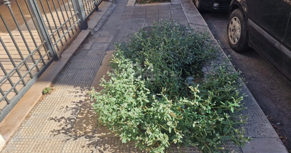 WhatsApp Image 2025-09-02 at 17.19.40