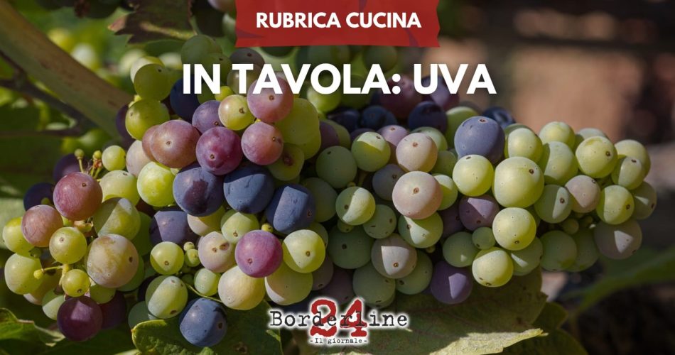 WhatsApp Image 2025-09-02 at 17.42.23 (1)