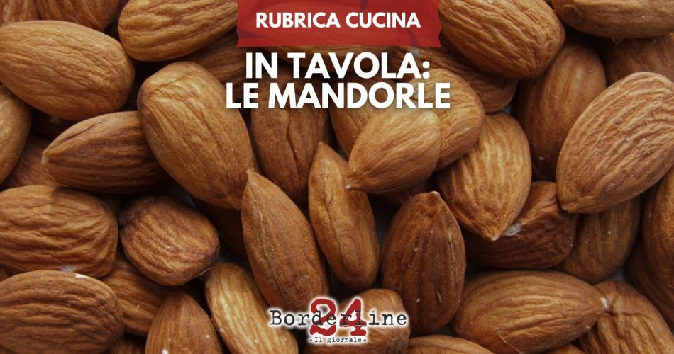 WhatsApp Image 2025-09-02 at 17.42.23 (4)