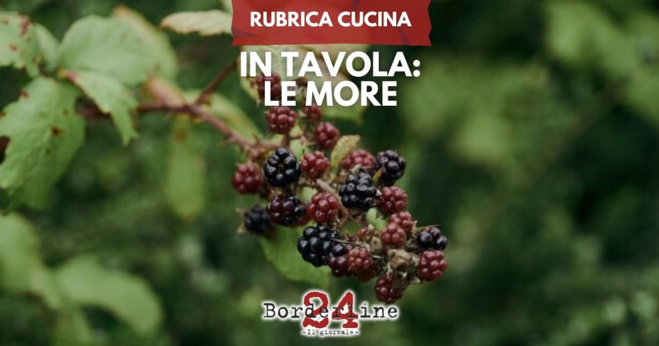 WhatsApp Image 2025-09-02 at 17.42.23 (8)