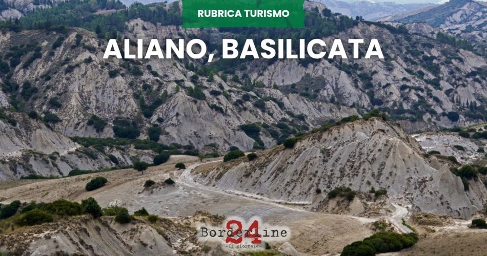 WhatsApp Image 2025-09-02 at 17.42.23