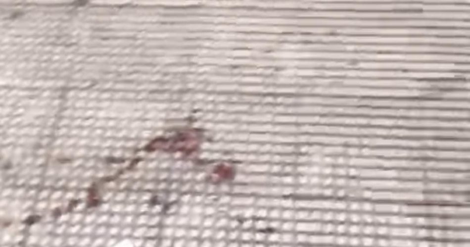 WhatsApp Image 2025-09-02 at 19.04.06